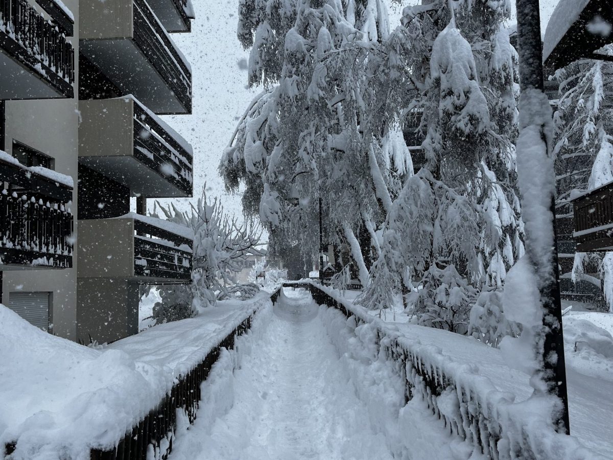 Imperial-20250531-14