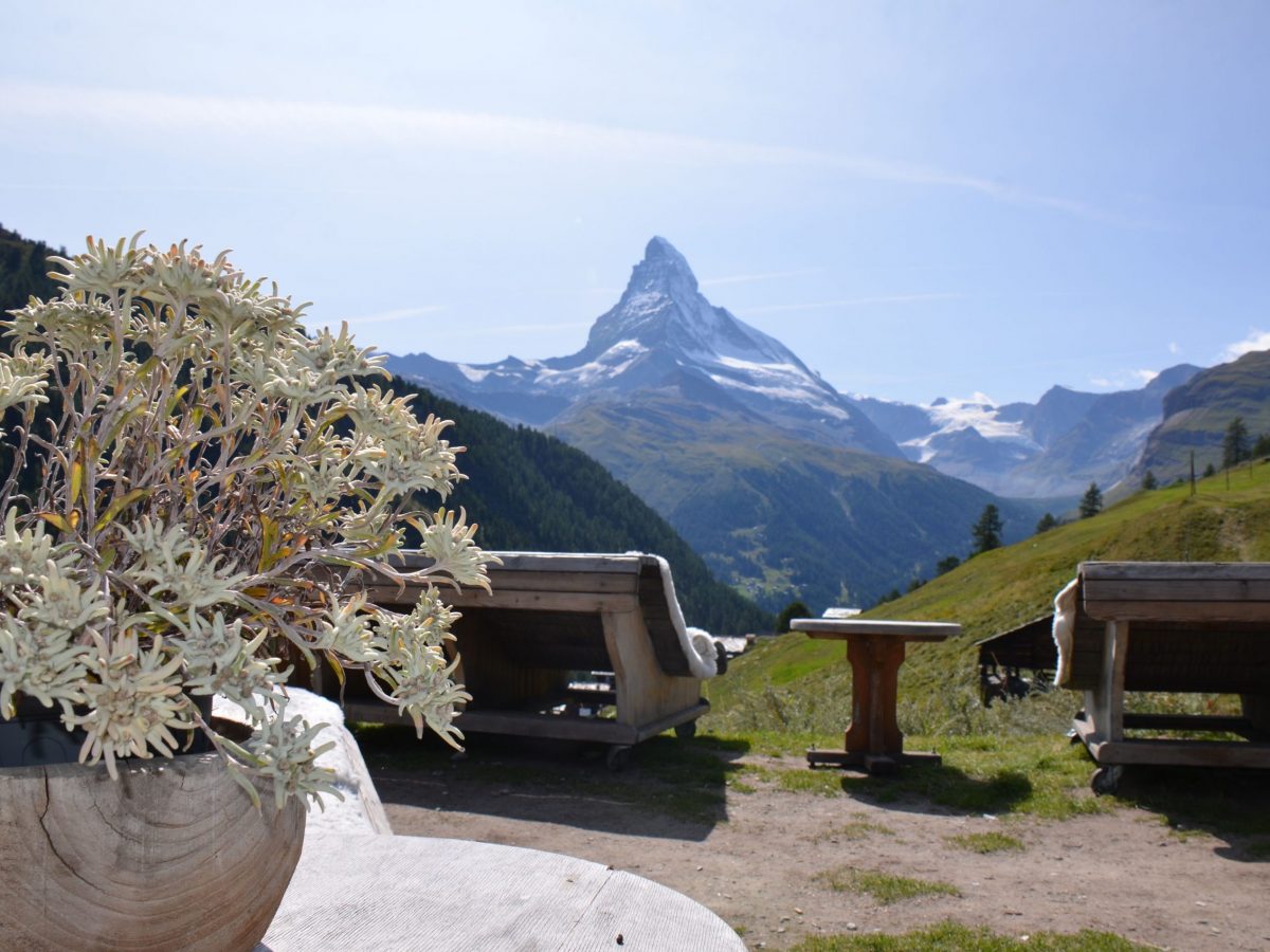 ZermattGeneral-30